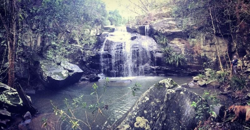 Photo - Bandon Grove NSW 2420 - Image 2
