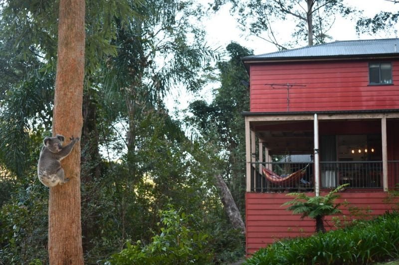 Photo - Bandon Grove NSW 2420 - Image 4