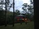 Photo - Bandon Grove NSW 2420 - Image 10