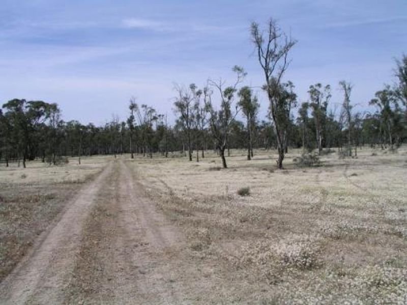 Barham NSW 2732