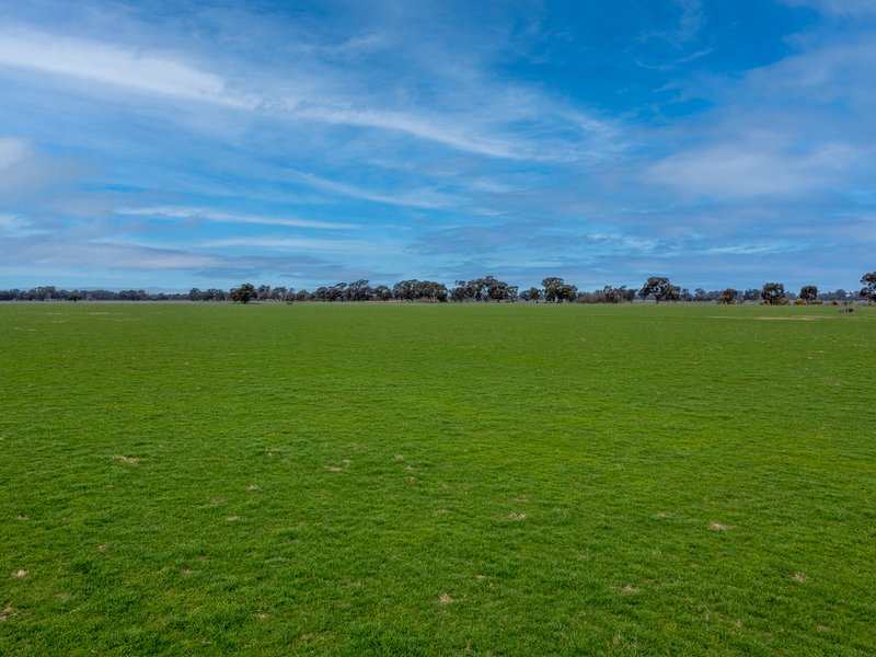 Photo - "Barneys"/CA 4 Boundary Road, Norong VIC 3682 - Image 6