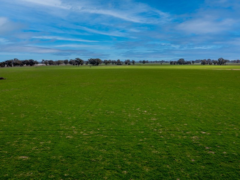 Photo - "Barneys"/CA 4 Boundary Road, Norong VIC 3682 - Image 7