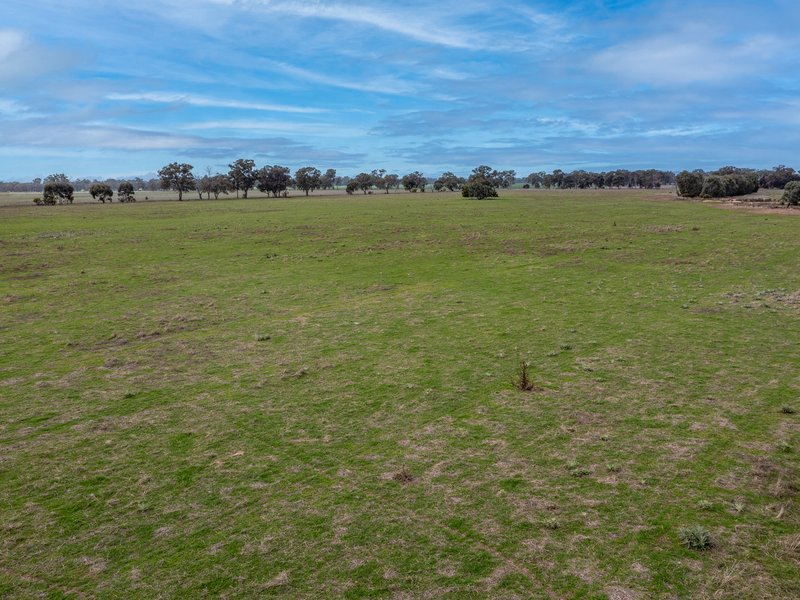 Photo - "Barneys"/CA 4 Boundary Road, Norong VIC 3682 - Image 11