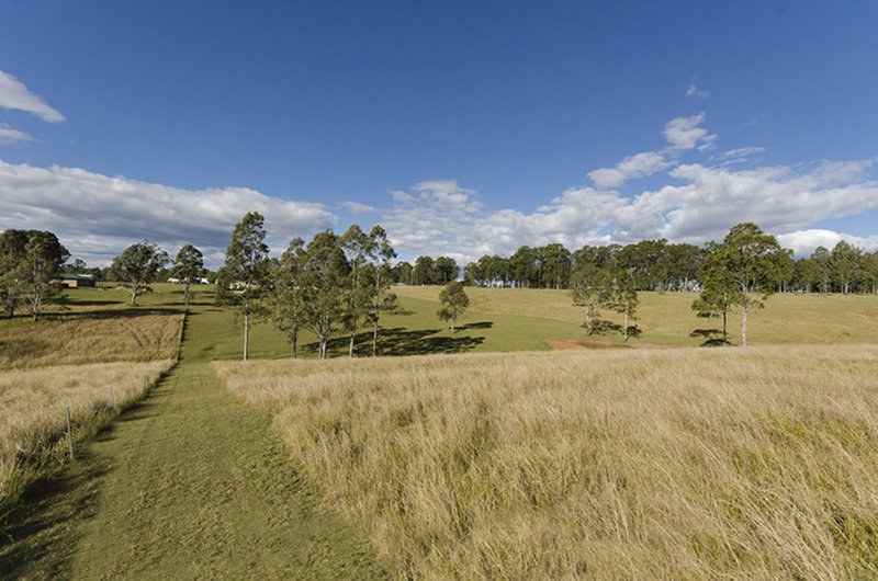 Photo - "Baroda Park" Ellandgrove Road, Elland NSW 2460 - Image 9