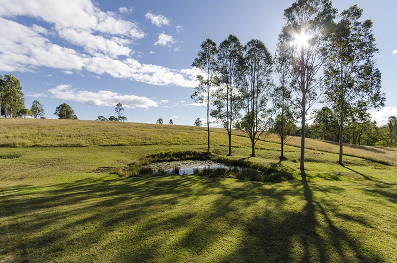 Photo - "Baroda Park" Ellandgrove Road, Elland NSW 2460 - Image 10