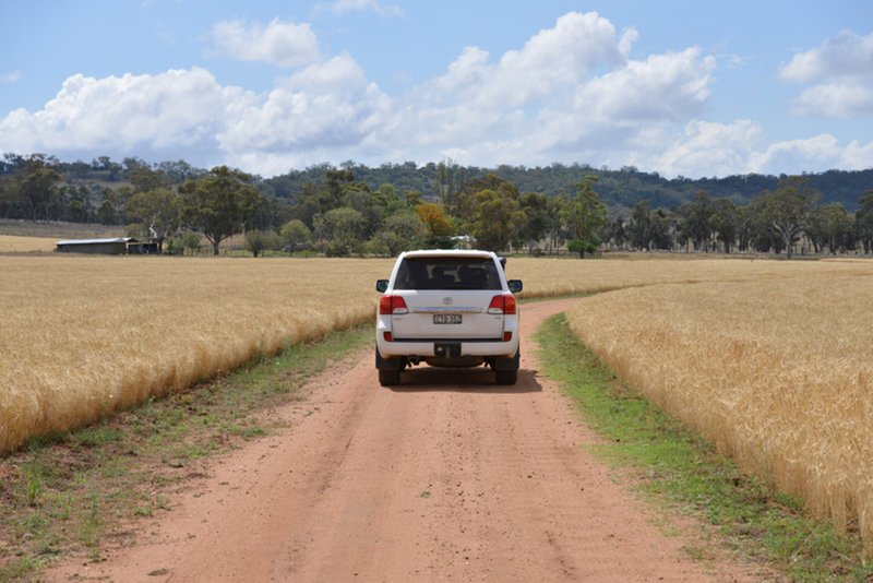 Photo - " Barrington Park" , Quirindi NSW 2343 - Image 2