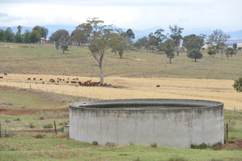 Photo - " Barrington Park" , Quirindi NSW 2343 - Image 5