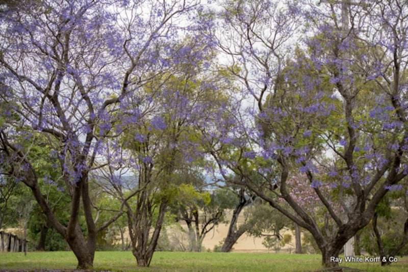 Photo - " Barrington Park" , Quirindi NSW 2343 - Image 9