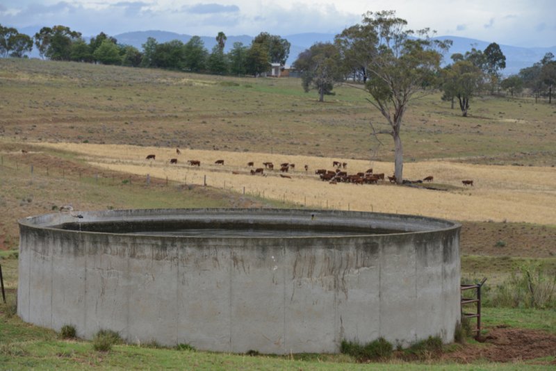 Photo - " Barrington Park" , Quirindi NSW 2343 - Image 19