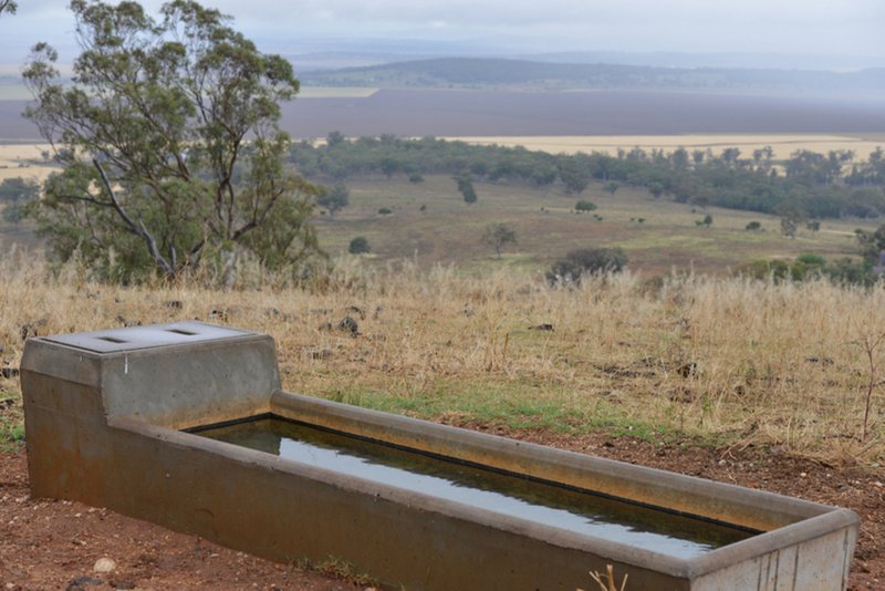 Photo - " Barrington Park" , Quirindi NSW 2343 - Image 22