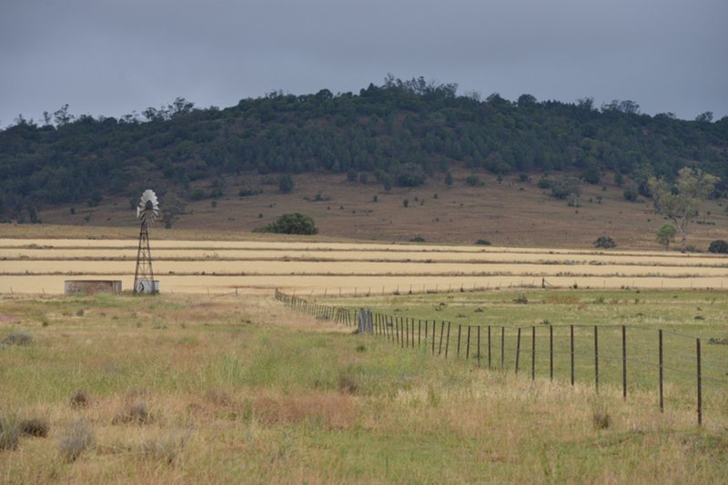 Photo - " Barrington Park" , Quirindi NSW 2343 - Image 24