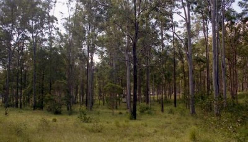 Photo - Bauple QLD 4650 - Image 7