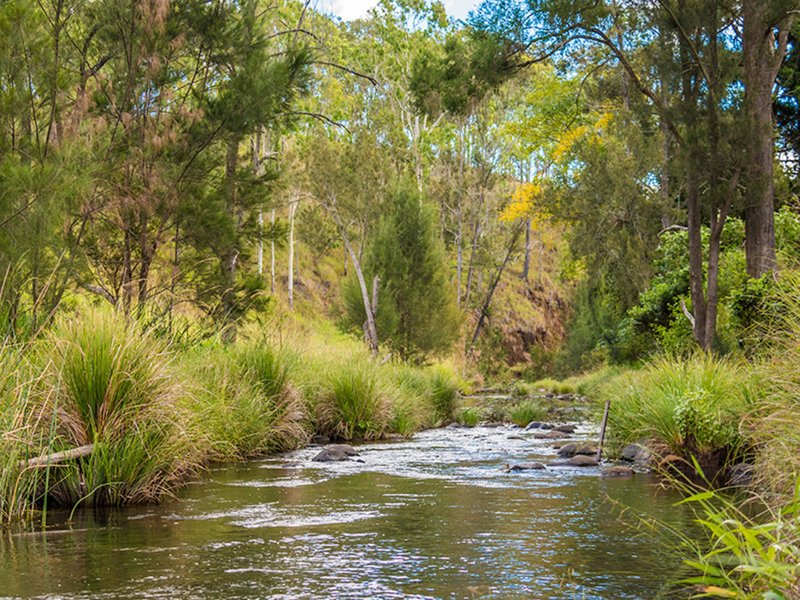 Photo - Beaudesert QLD 4285 - Image 8