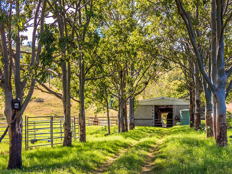 Photo - Beaudesert QLD 4285 - Image 10