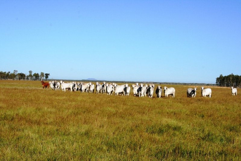 Beaver Rock QLD 4650