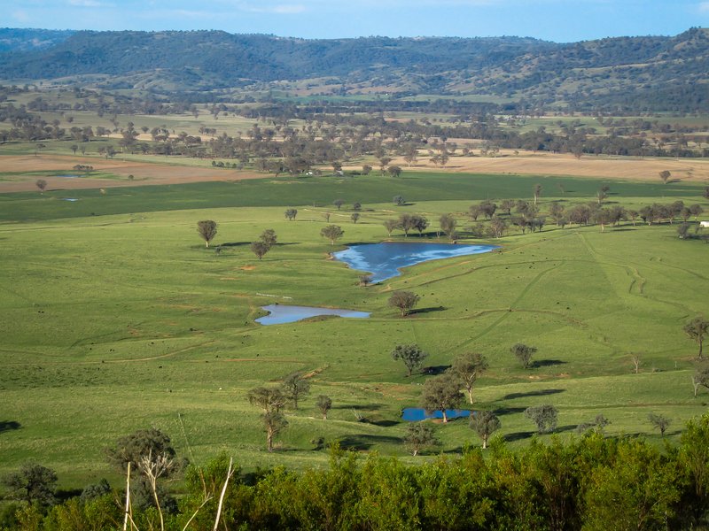 'Belfield' Trevallyn Road, Barraba NSW 2347