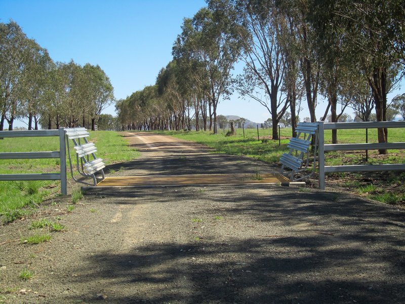 Photo - 'Belfield' Trevallyn Road, Barraba NSW 2347 - Image 5