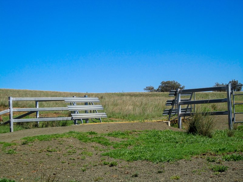 Photo - 'Belfield' Trevallyn Road, Barraba NSW 2347 - Image 12