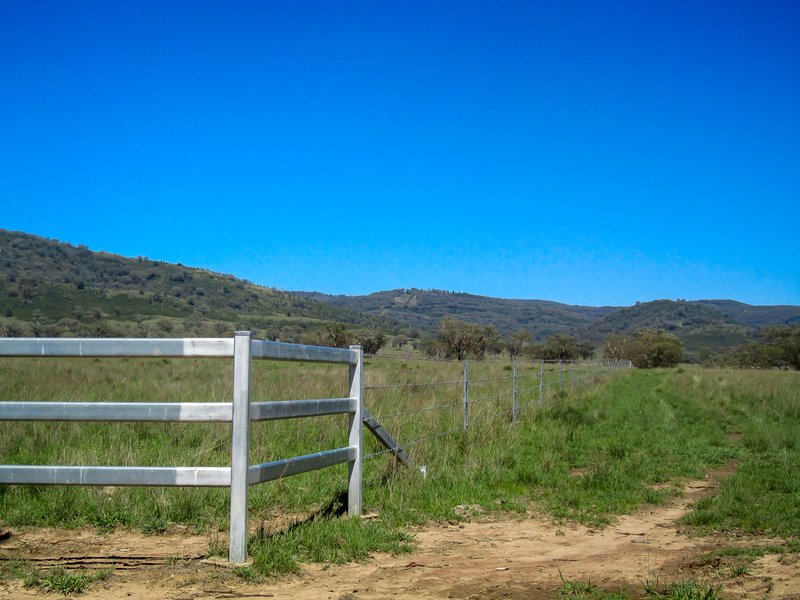 Photo - 'Belfield' Trevallyn Road, Barraba NSW 2347 - Image 13