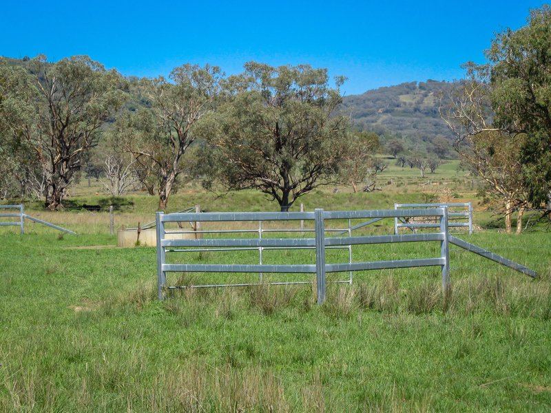 Photo - 'Belfield' Trevallyn Road, Barraba NSW 2347 - Image 14