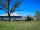 Photo - 'Belfield' Trevallyn Road, Barraba NSW 2347 - Image 18