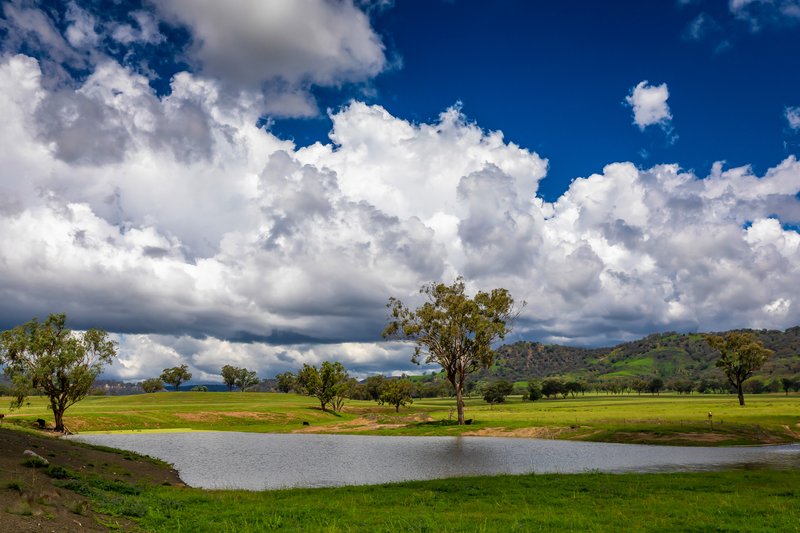 Photo - 'Belfield' Trevallyn Road, Barraba NSW 2347 - Image 23