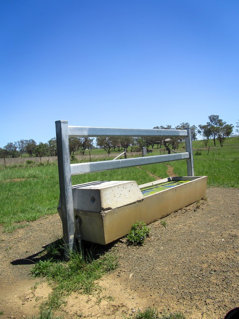 Photo - 'Belfield' Trevallyn Road, Barraba NSW 2347 - Image 27