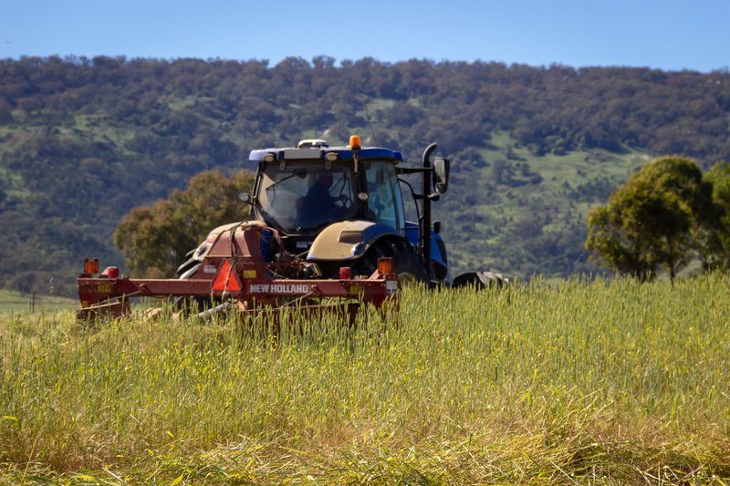 Photo - 'Belfield' Trevallyn Road, Barraba NSW 2347 - Image 28