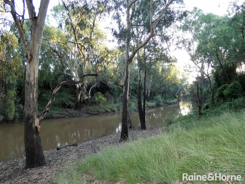 Photo - "Belltrees" Boobialla Road, Moree NSW 2400 - Image 4