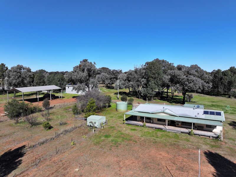 'Belmont' 71R Maiala Road, Eumungerie NSW 2822