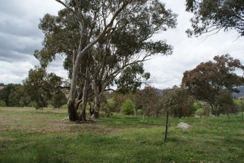 Photo - Bendemeer NSW 2355 - Image 6