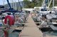 Photo - Berth B44 Abell Point Marina , Airlie Beach QLD 4802 - Image 7