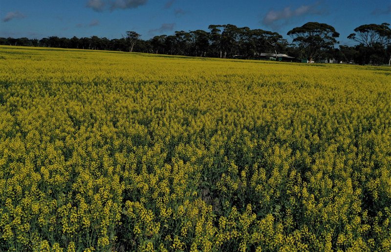 Photo - . Bindoon-Moora Road And Midlands Road, Moora WA 6510 - Image 5