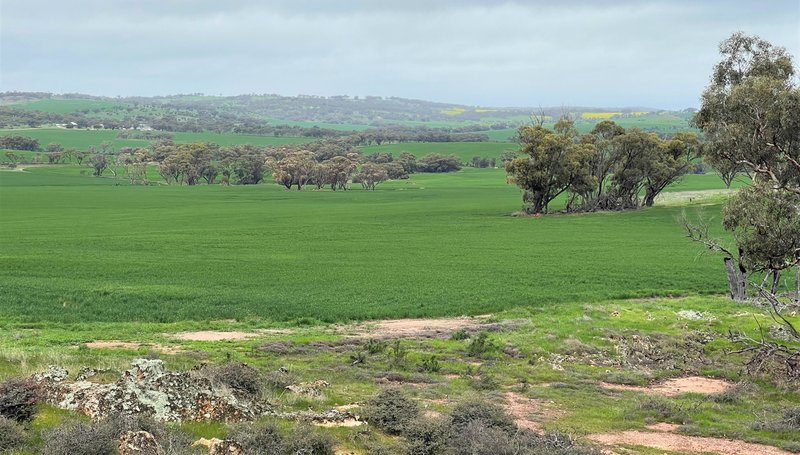 Photo - . Bindoon-Moora Road And Midlands Road, Moora WA 6510 - Image 13