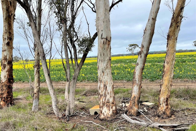 Photo - . Bindoon-Moora Road And Midlands Road, Moora WA 6510 - Image 14