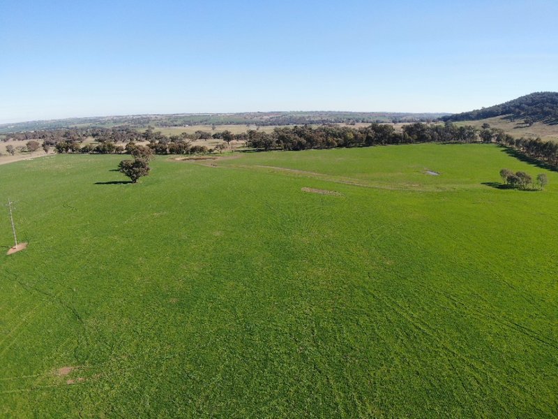 Photo - 'Black Range' Cusack Road, Boorowa NSW 2586 - Image 2