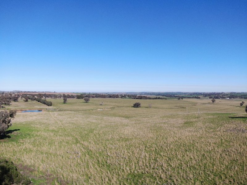 Photo - 'Black Range' Cusack Road, Boorowa NSW 2586 - Image 3