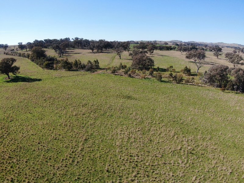 Photo - 'Black Range' Cusack Road, Boorowa NSW 2586 - Image 5