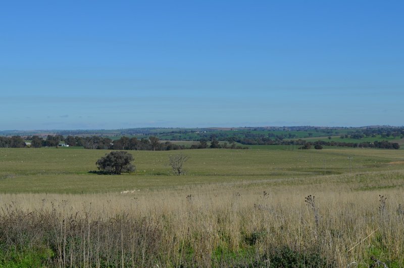 Photo - 'Black Range' Cusack Road, Boorowa NSW 2586 - Image 6