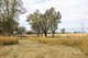 Photo - 'Bluegrass' Kia Ora Lane, Tamworth NSW 2340 - Image 6