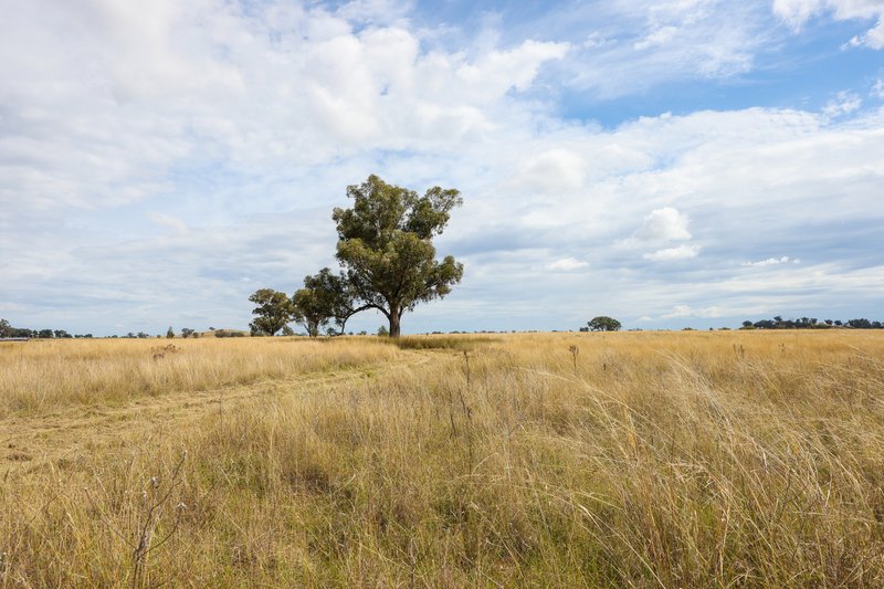 Photo - 'Bluegrass' Kia Ora Lane, Tamworth NSW 2340 - Image 8