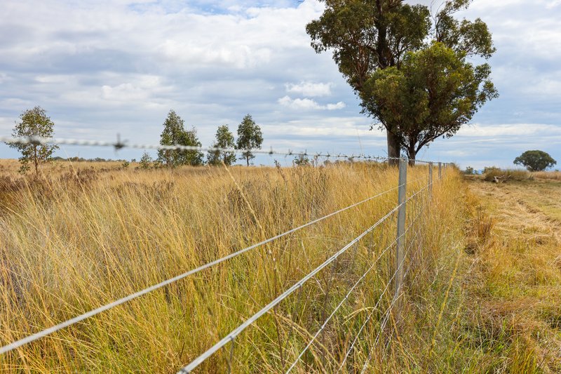 Photo - 'Bluegrass' Kia Ora Lane, Tamworth NSW 2340 - Image 10