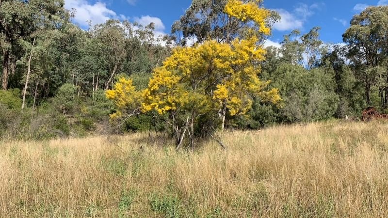 Photo - Boggabri NSW 2382 - Image 6