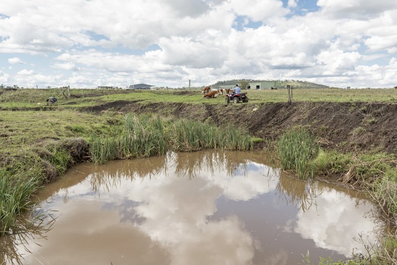 Photo - "Bonaccord" Oestreich Road, Wellcamp QLD 4350 - Image 4