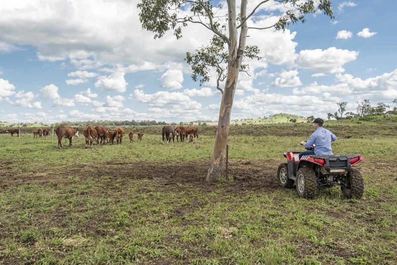 Photo - "Bonaccord" Oestreich Road, Wellcamp QLD 4350 - Image 5