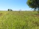 Photo - "Bonavista" 13724 Mitchell - St George Road, Roma QLD 4455 - Image 13