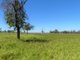 Photo - "Bonavista" 13724 Mitchell - St George Road, Roma QLD 4455 - Image 14