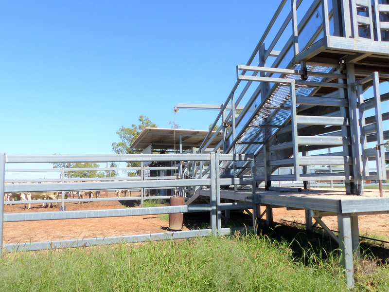 Photo - "Bonavista" 13724 Mitchell - St George Road, Roma QLD 4455 - Image 25