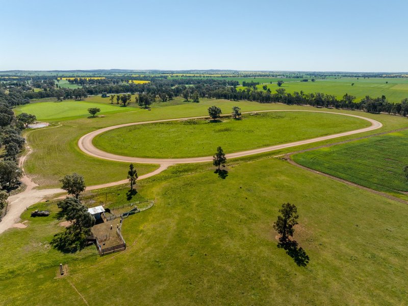 Photo - 'Bonnie Doone' 9028 Newell Highway, Mirrool NSW 2665 - Image 21