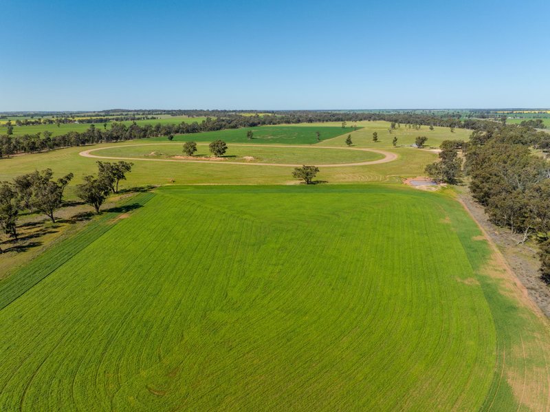 Photo - 'Bonnie Doone' 9028 Newell Highway, Mirrool NSW 2665 - Image 23